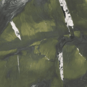 Avocadus Quarzit Marmor